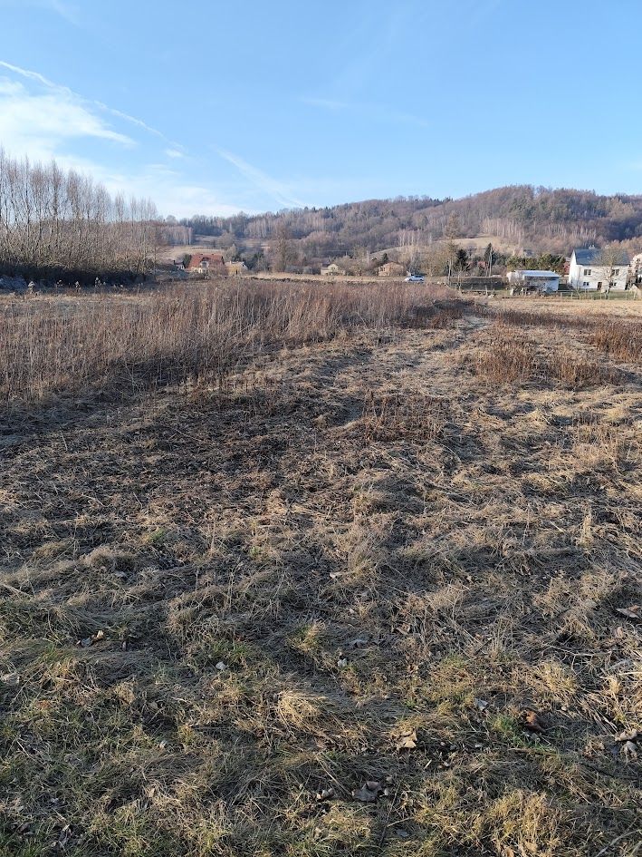 Działka rolna Babica. Zdjęcie 3