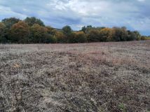 Działka rolna Średnia. Zdjęcie 4