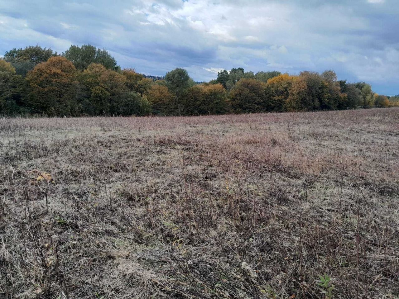 Działka rolna Średnia. Zdjęcie 5