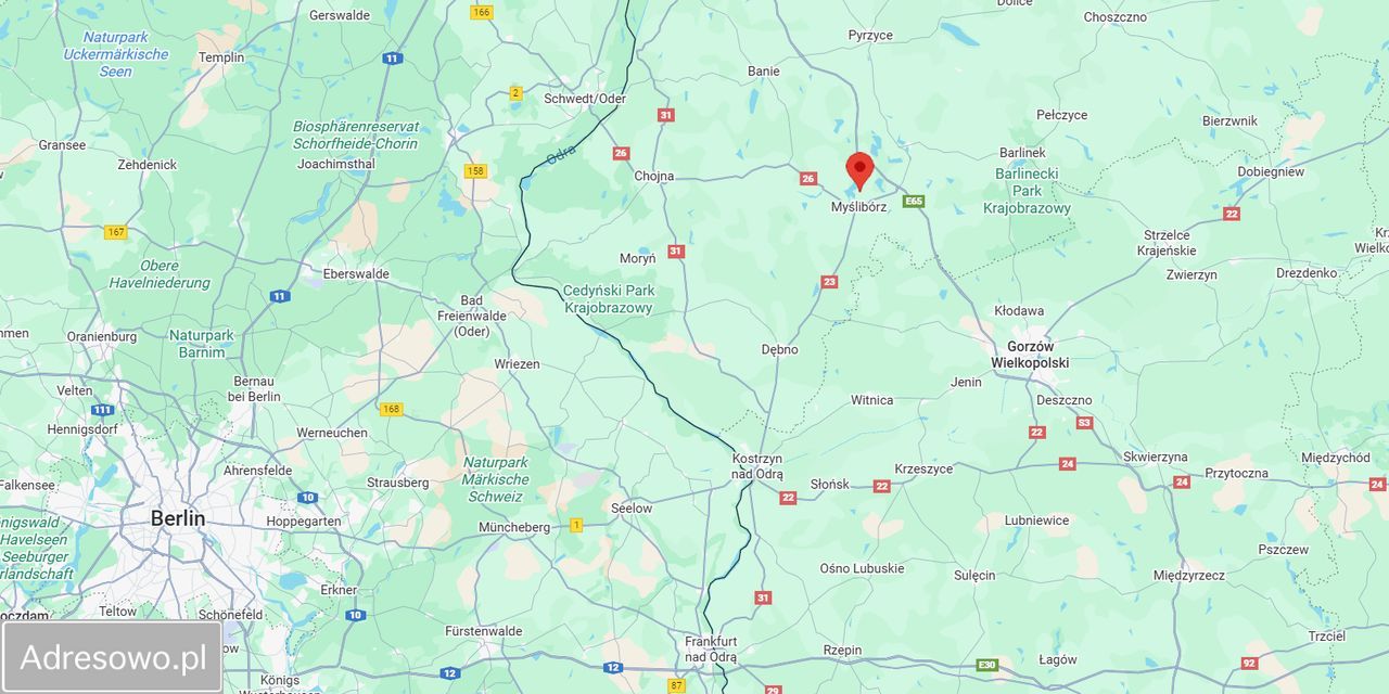 Działka rolno-budowlana Dąbrowa. Zdjęcie 2