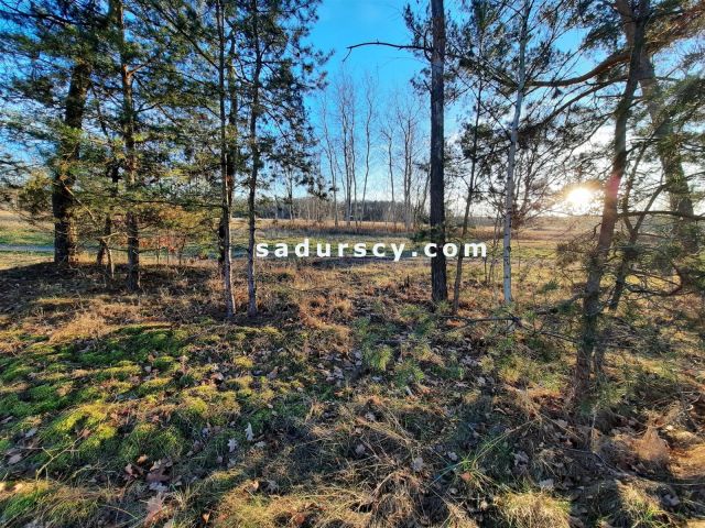 Działka budowlana Baniocha. Zdjęcie 5