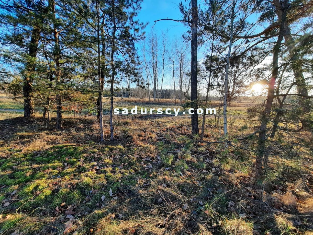 Działka budowlana Baniocha. Zdjęcie 5