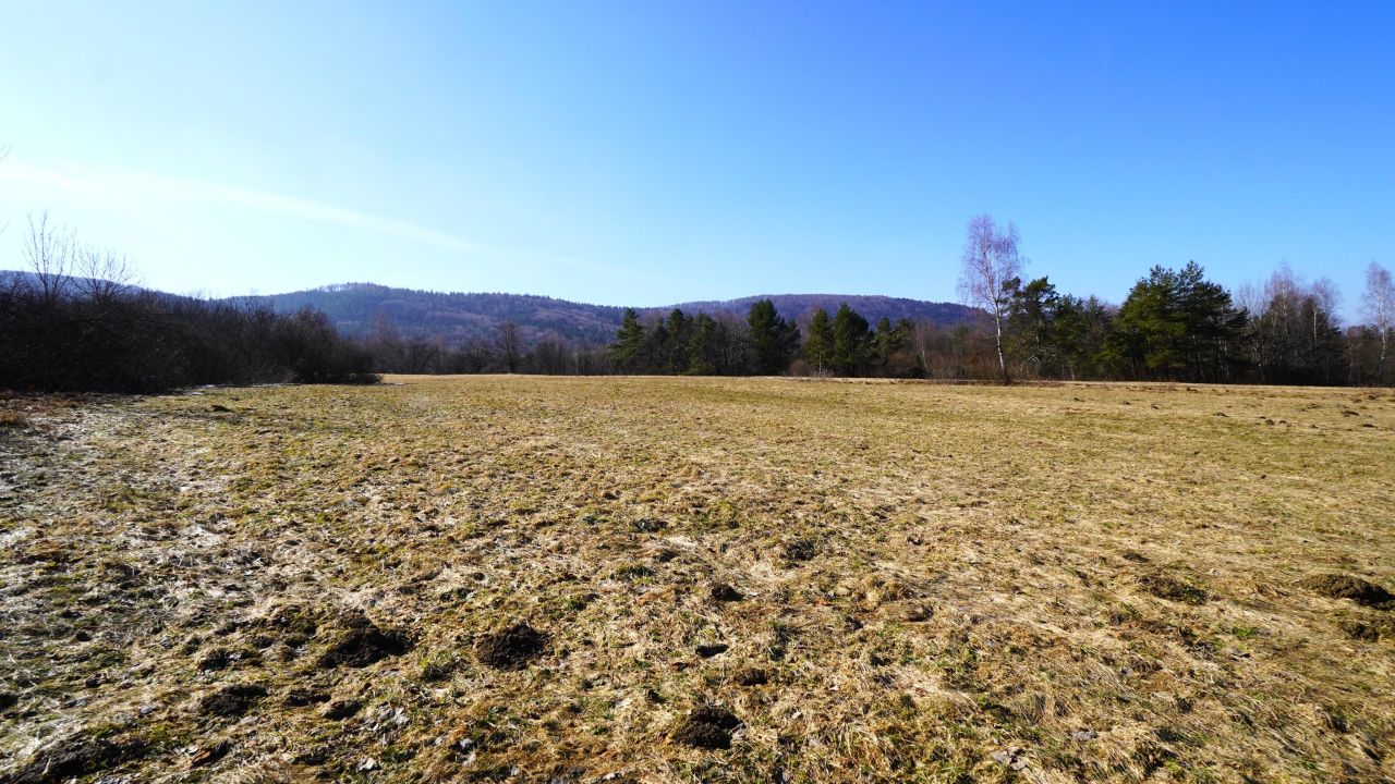 Działka rolna Regietów. Zdjęcie 10