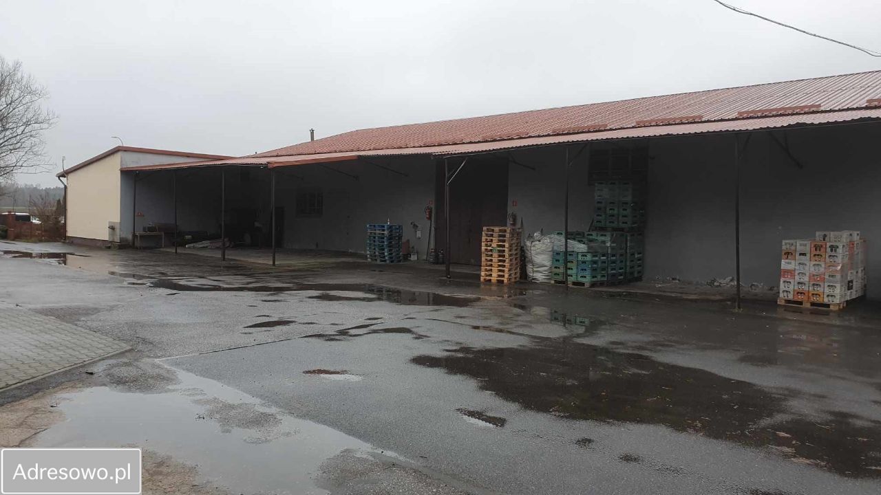 Hala/magazyn Strobów. Zdjęcie 5