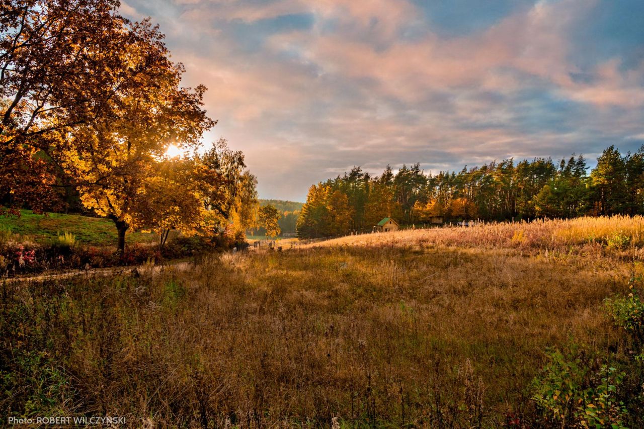 Działka budowlana Jeziórka. Zdjęcie 15