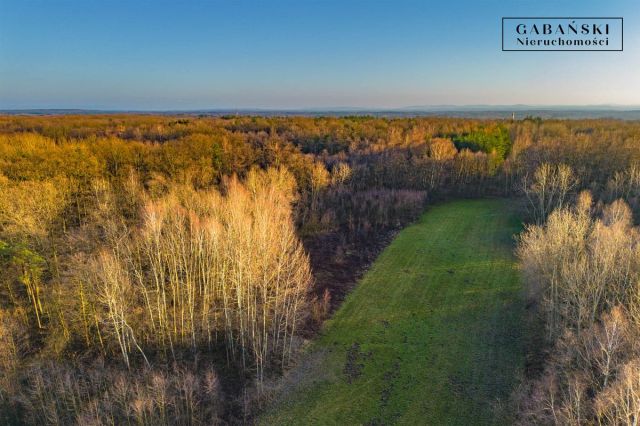 Działka budowlana Zaczarnie. Zdjęcie 9