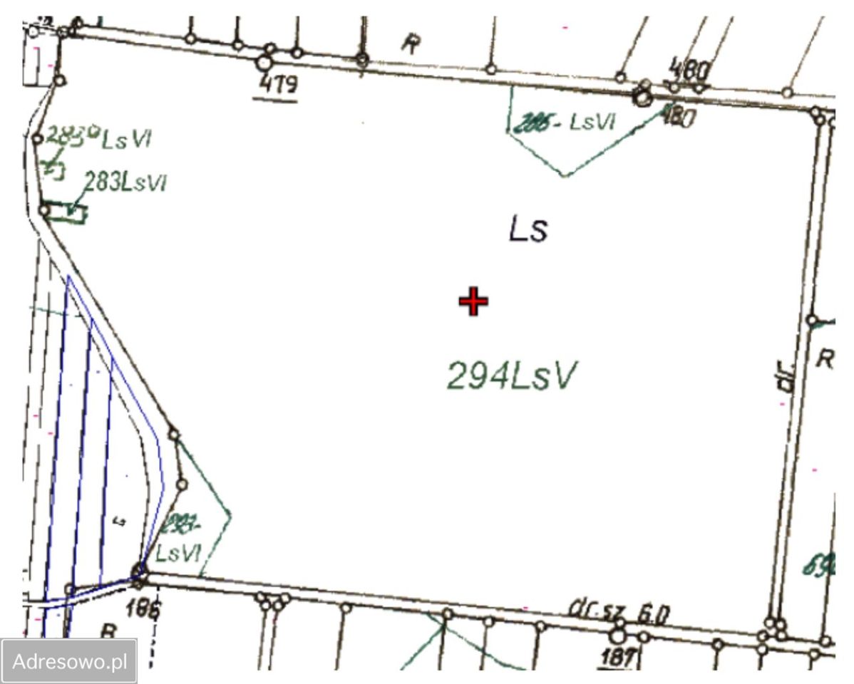 Działka leśna Bedlno. Zdjęcie 8