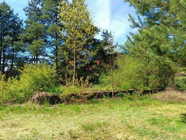 Działka budowlana Kamińsko. Zdjęcie 7