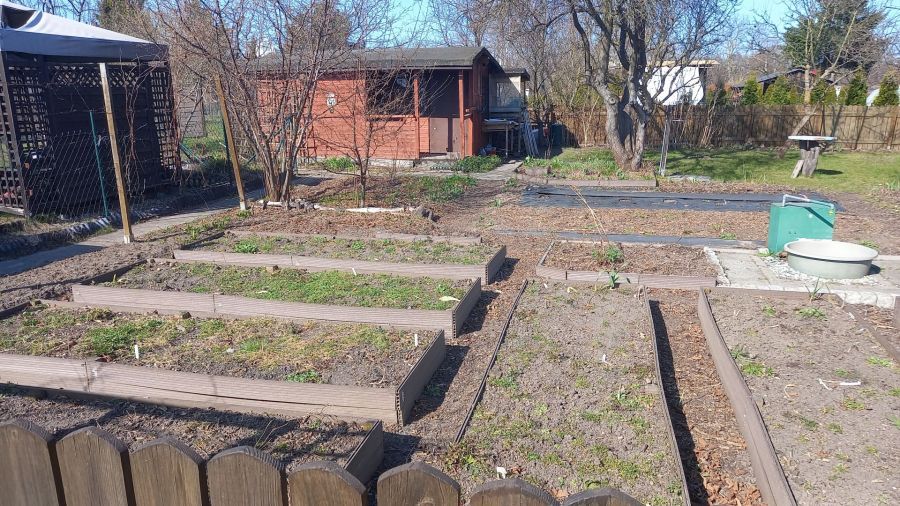 Działka rod Pruszcz Gdański, ul. Podmiejska. Zdjęcie 6