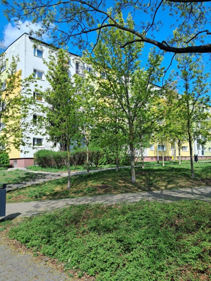 Mieszkanie 2-pokojowe Poznań Grunwald, ul. Ognik. Zdjęcie 8