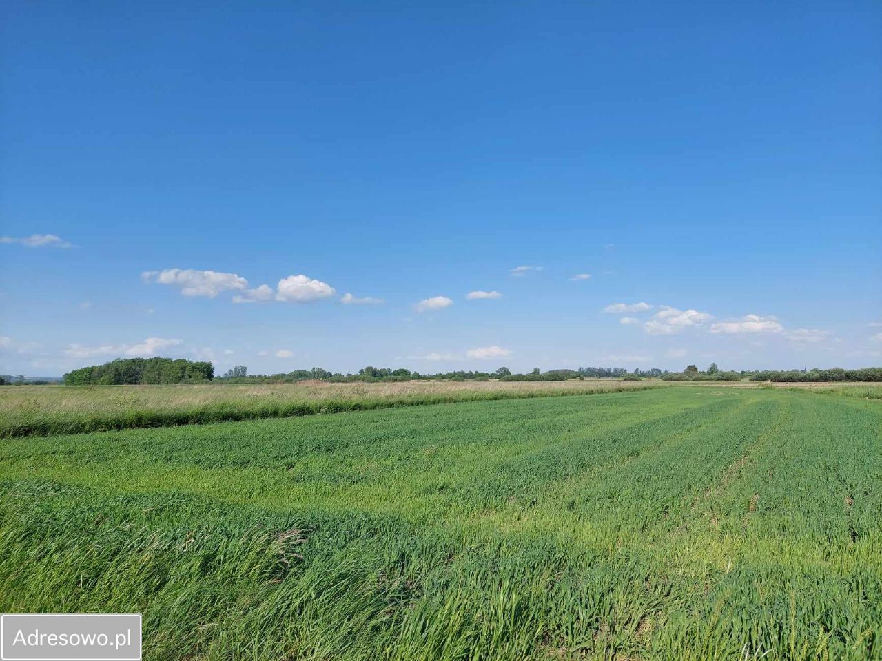 Działka rolno-budowlana Drwinia. Zdjęcie 1