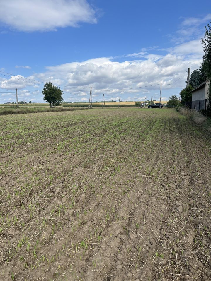 Działka rolno-budowlana Biskupice Wymysłów. Zdjęcie 2