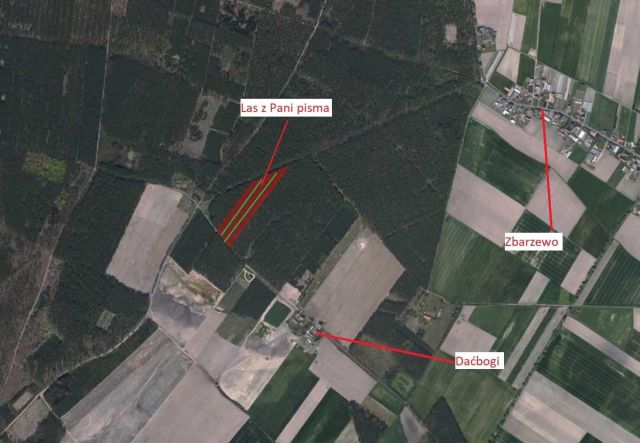 Działka leśna Zbarzewo. Zdjęcie 1