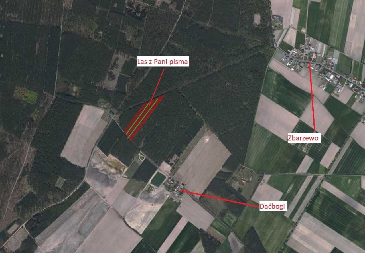 Działka leśna Zbarzewo. Zdjęcie 1