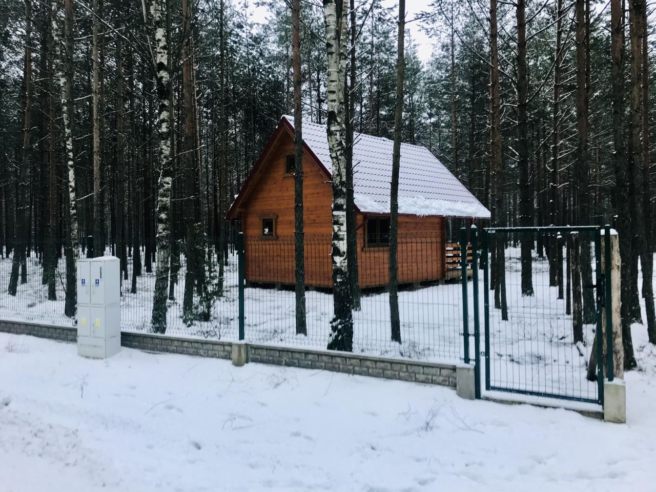 Działka leśna Broda. Zdjęcie 3