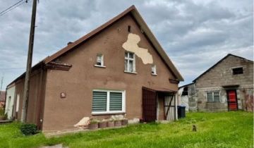 bliźniak Górowychy