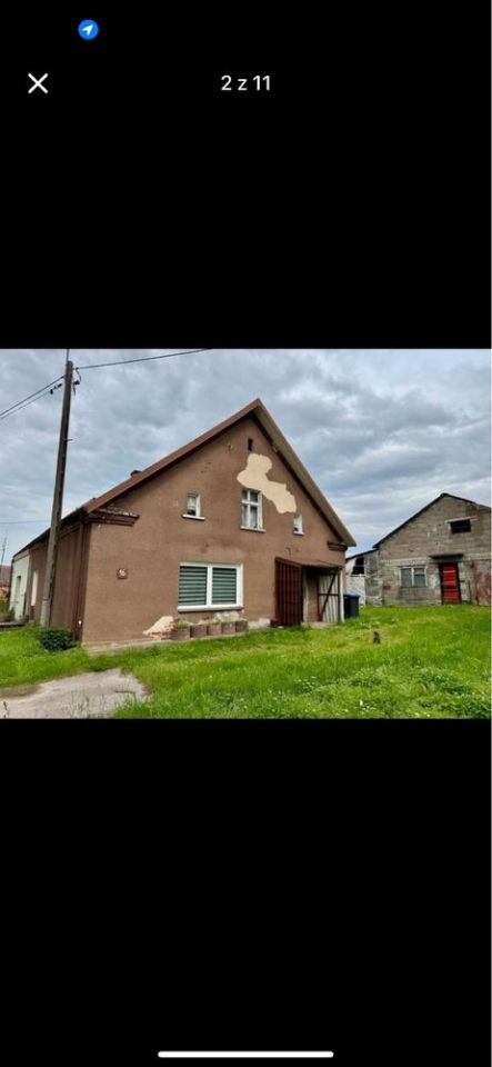 bliźniak Górowychy