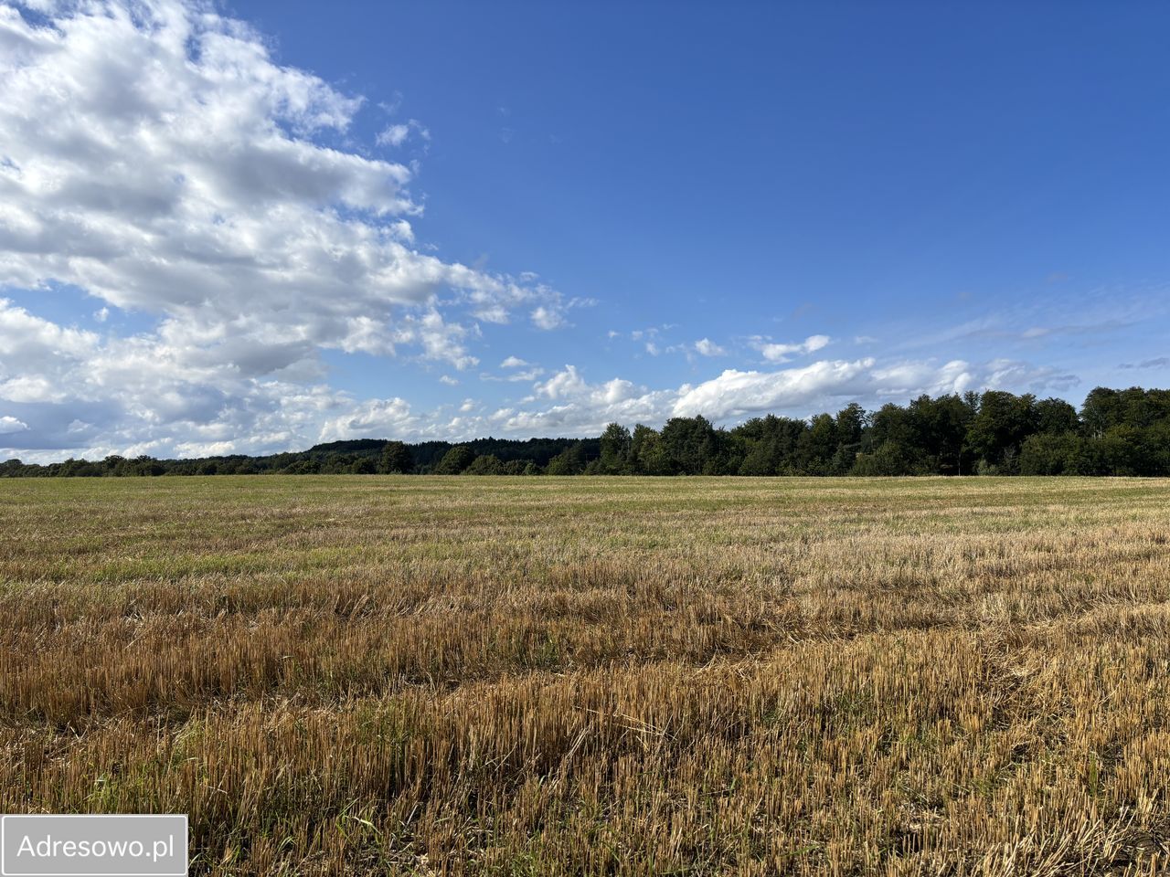 Działka budowlana Klonowo Dolne. Zdjęcie 3