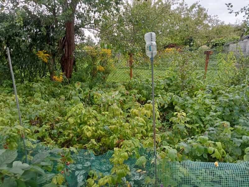 Działka rod Lidzbark Warmiński, ul. Rolna. Zdjęcie 4