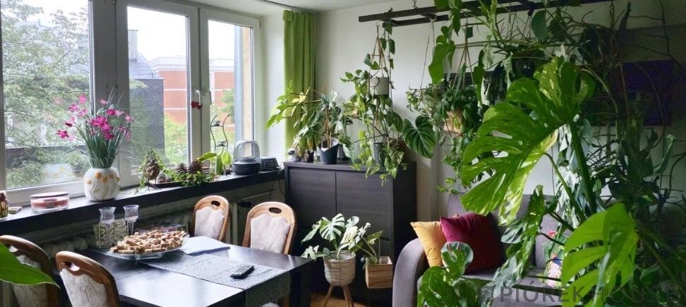 Mieszkanie 4-pokojowe Warszawa Ochota, ul. Daleka. Zdjęcie 3