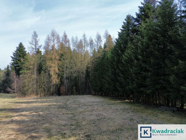 dom wolnostojący, 5 pokoi Bączal Dolny. Zdjęcie 20