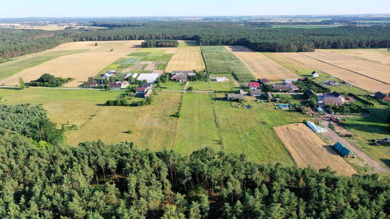 Działka budowlana Grzeczna Panna. Zdjęcie 4
