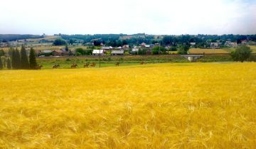 Działka siedliskowa Goszcza, ul. Zatorze