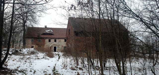 Działka siedliskowa Popielówek. Zdjęcie 1