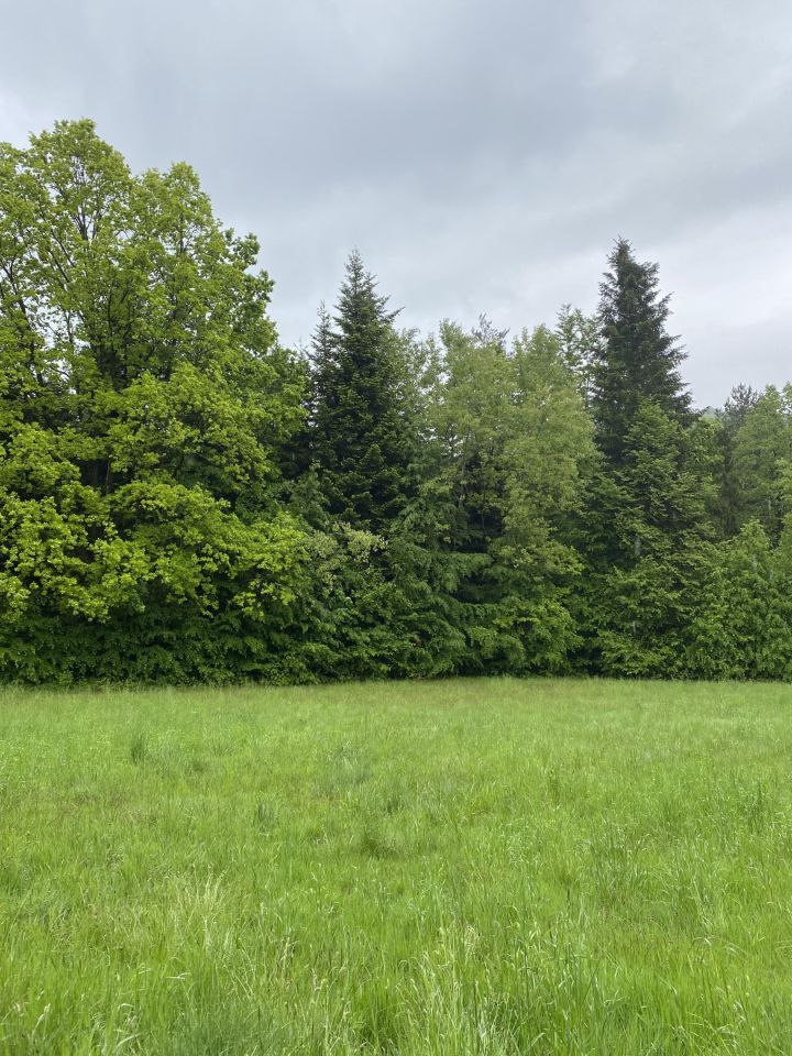 Działka rolna Piekiełko. Zdjęcie 4