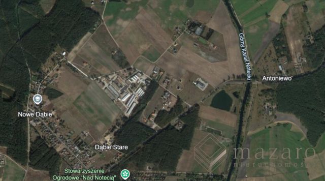 Działka rolna Nowe Dąbie. Zdjęcie 5