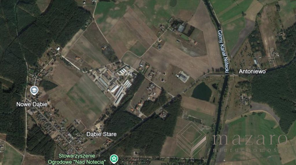 Działka rolna Nowe Dąbie. Zdjęcie 5