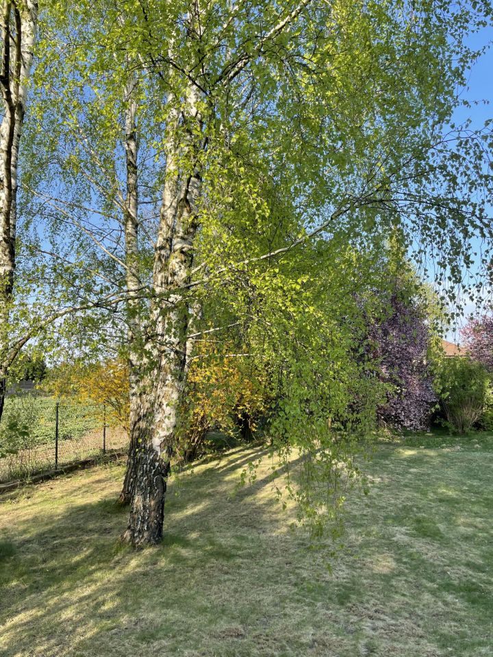 Działka budowlana Marysin, ul. Ziemska. Zdjęcie 4