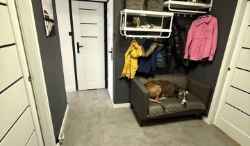 Mieszkanie 2-pokojowe Gryfino, ul. Energetyków