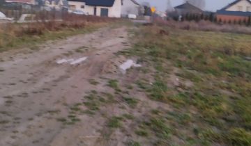 Działka rolno-budowlana Koziebrody, Brak