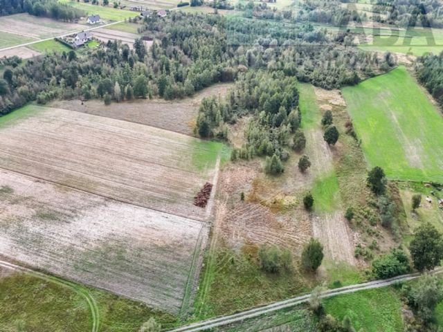 Działka rolna Brzózki. Zdjęcie 2