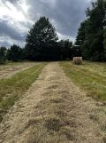 Działka budowlana Samsonów-Piechotne. Zdjęcie 3