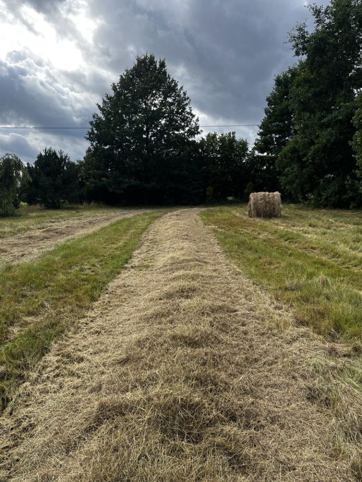 Działka budowlana Samsonów-Piechotne. Zdjęcie 4