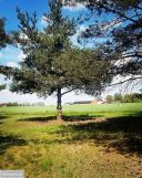 Działka budowlana Sokolniki. Zdjęcie 1