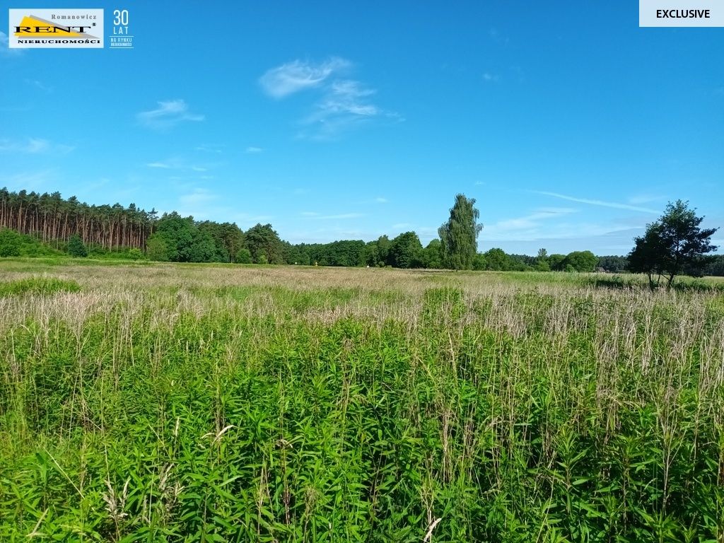 Działka inwestycyjna Szczecin Wielgowo. Zdjęcie 2