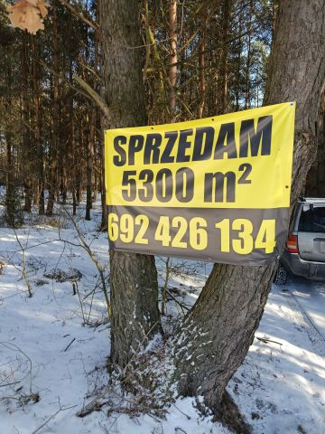 Działka budowlana Ostrowiec Świętokrzyski Kolonia Robotnicza, ul. Las Rzeczki. Zdjęcie 1