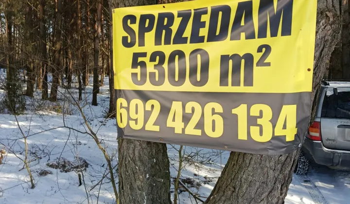 Działka budowlana Ostrowiec Świętokrzyski Kolonia Robotnicza, ul. Las Rzeczki