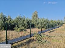 Działka budowlana Wielka Wieś. Zdjęcie 2