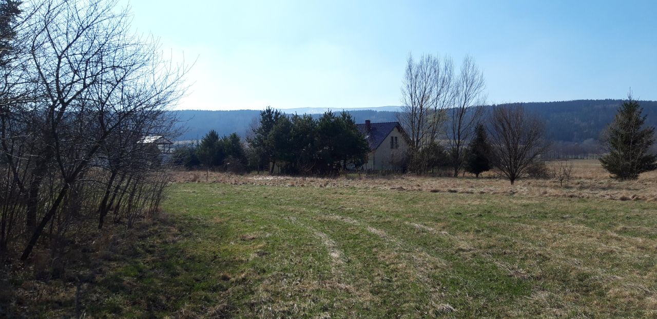 gospodarstwo, 9 pokoi Długopole Dolne. Zdjęcie 5