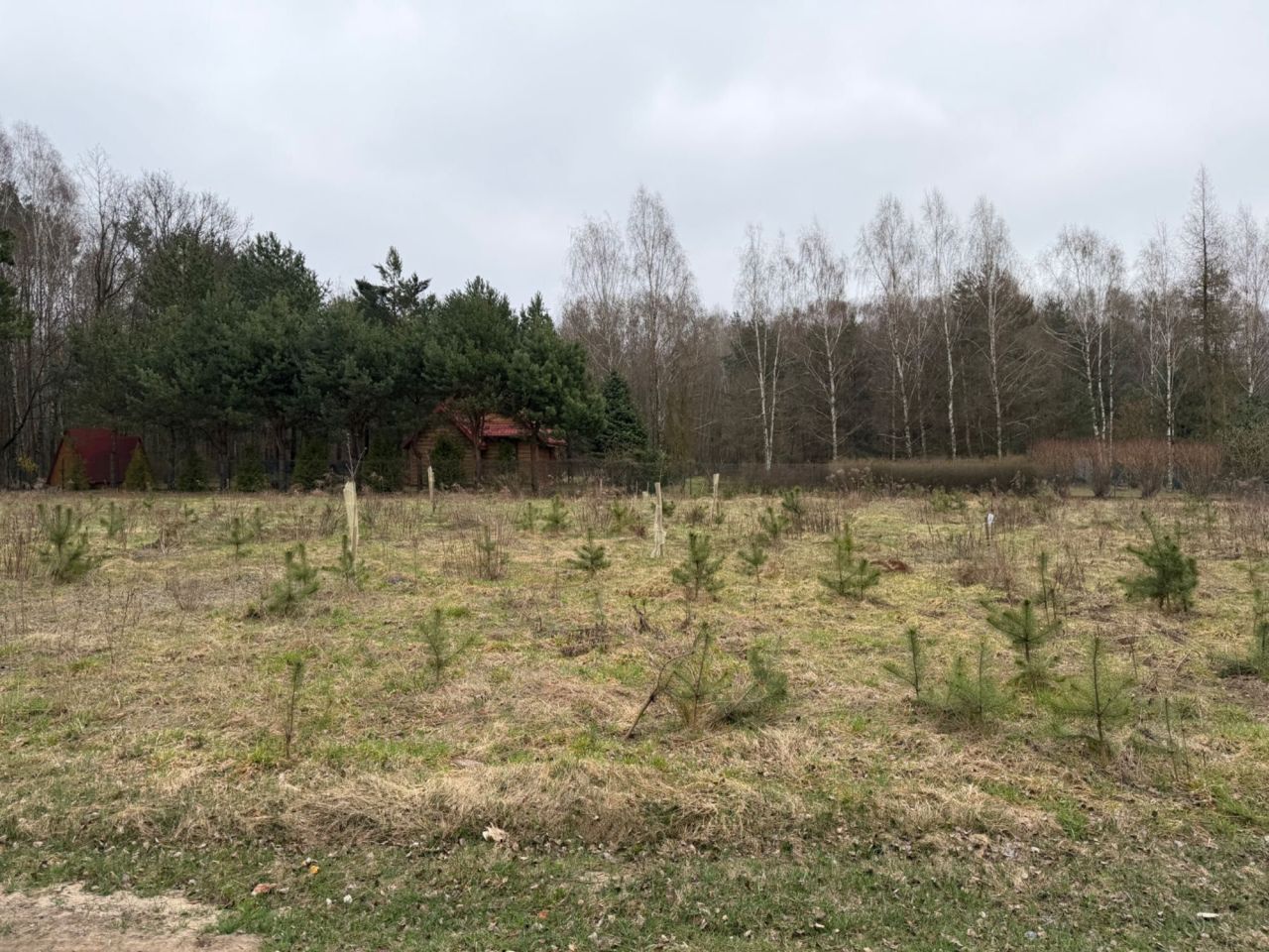 Działka budowlana Zofiówka. Zdjęcie 2