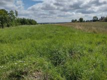 Działka inwestycyjna Cianowice. Zdjęcie 4