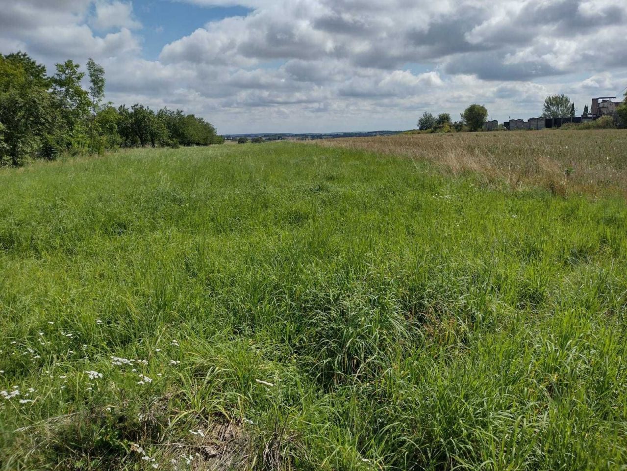 Działka inwestycyjna Cianowice. Zdjęcie 5