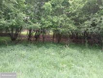 Działka budowlana Lachowice. Zdjęcie 1