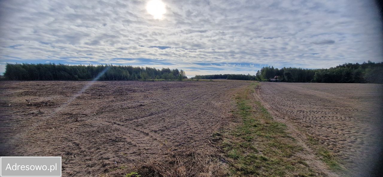 Działka rolna Jurzynek. Zdjęcie 3