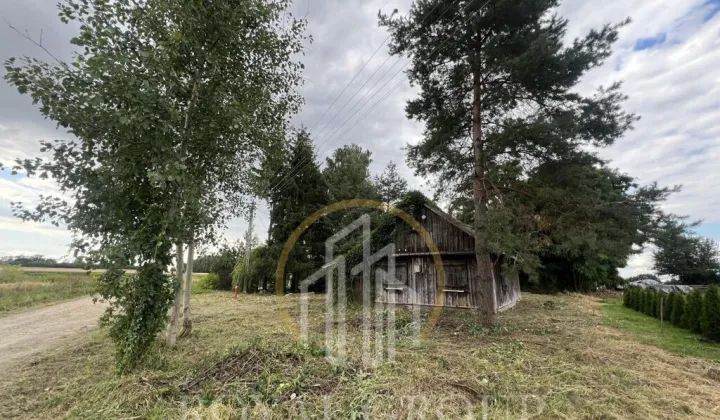 Działka siedliskowa Gołąb