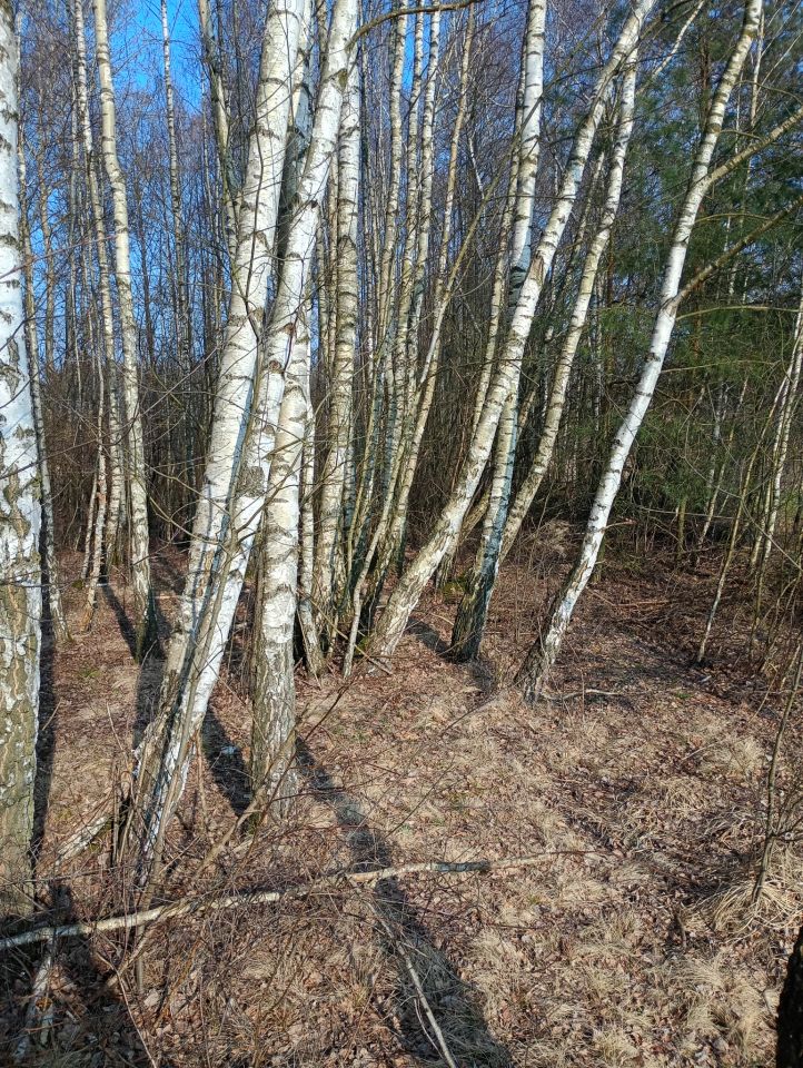 Działka rolna Wydrzyn. Zdjęcie 6